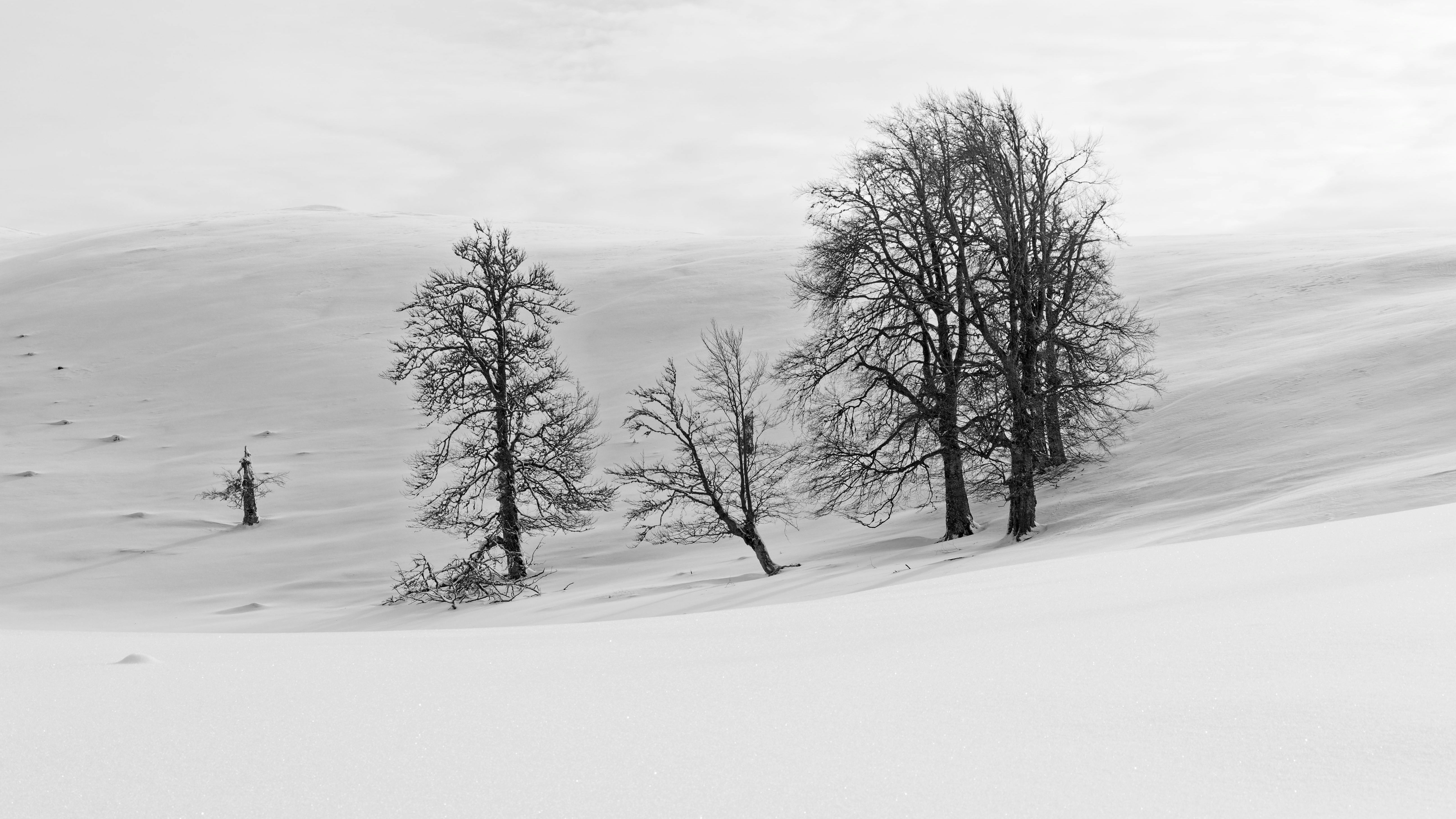 Photo by illes_cristi