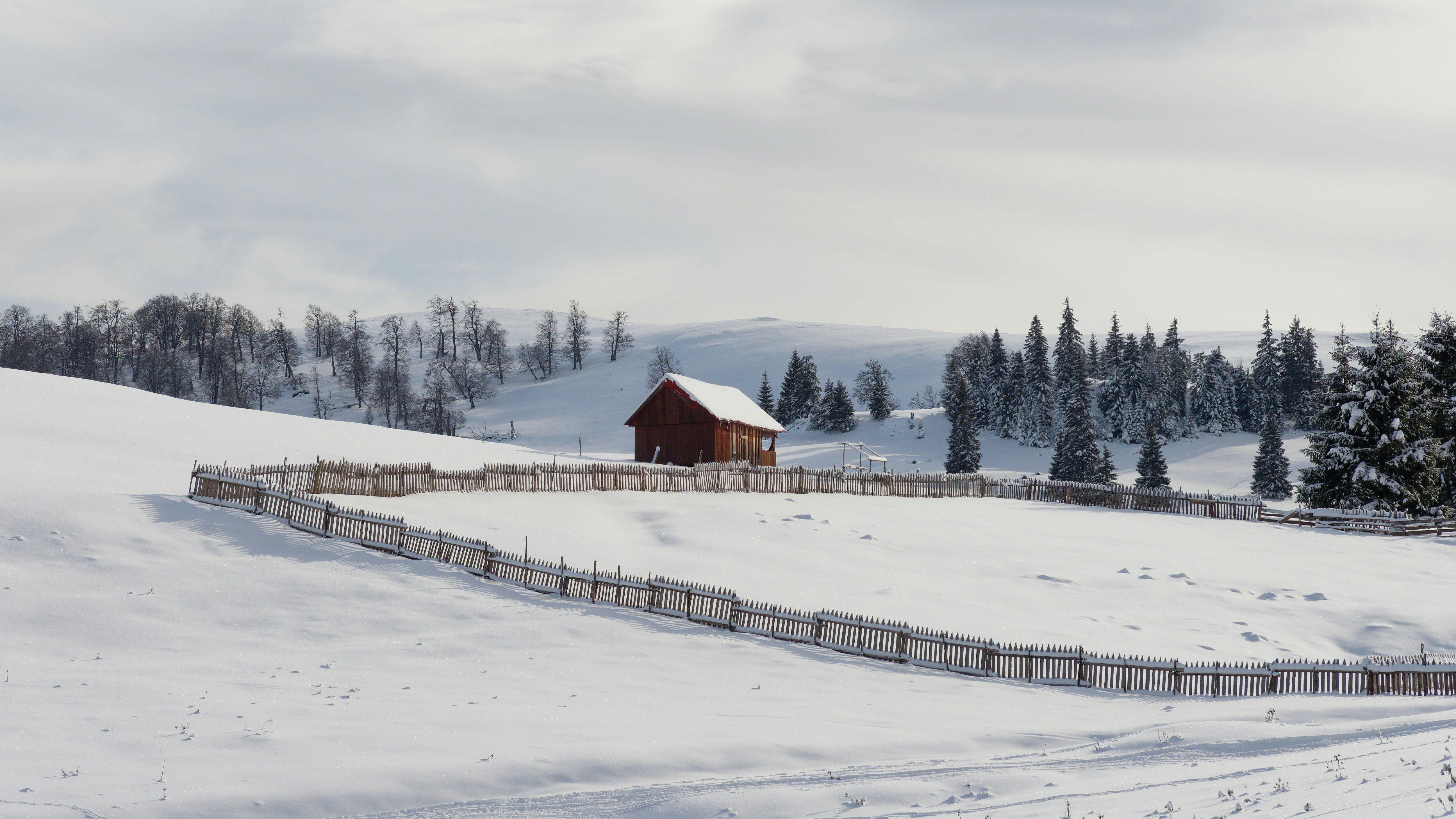 Photo by illes_cristi