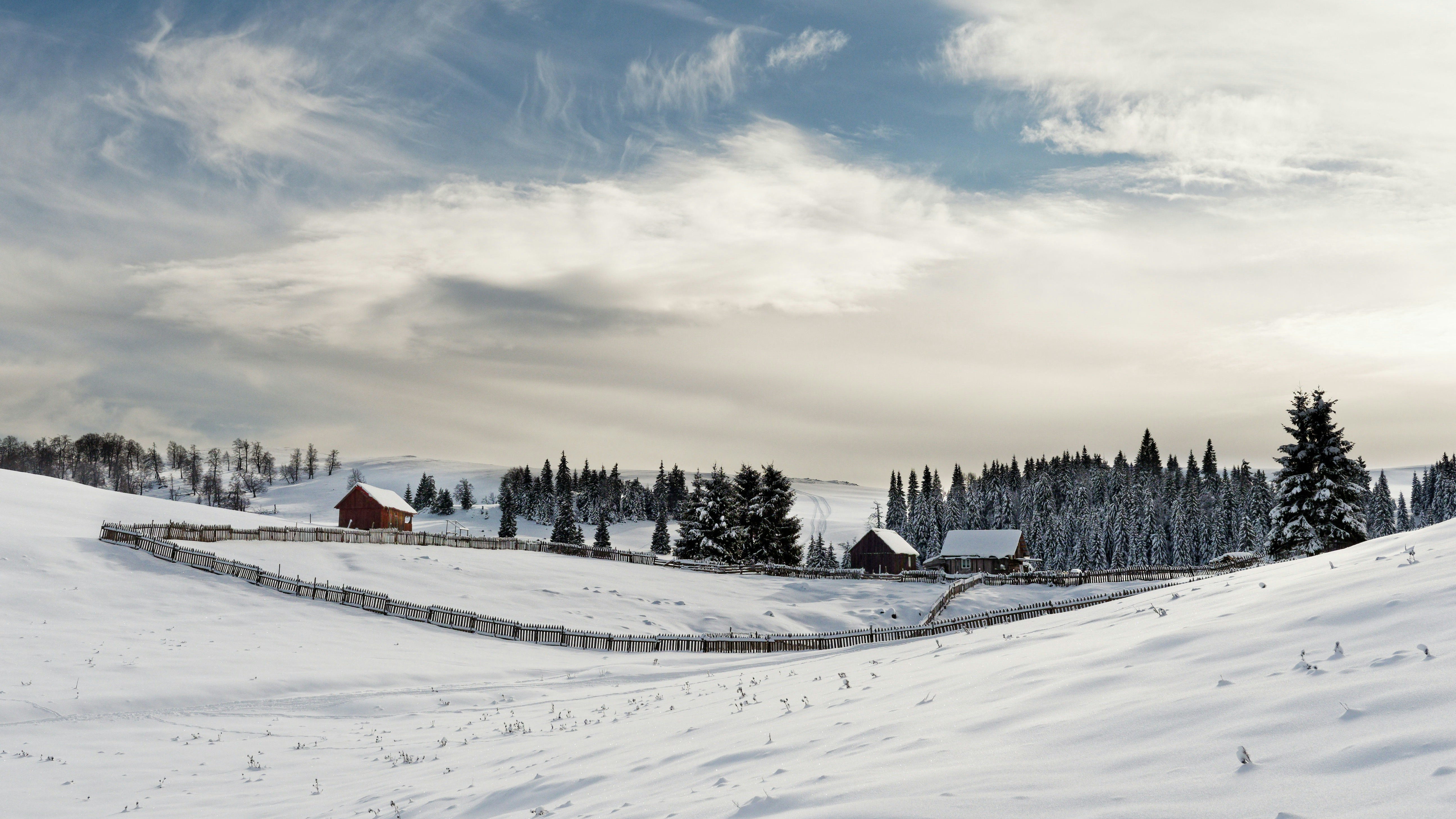 Photo by illes_cristi