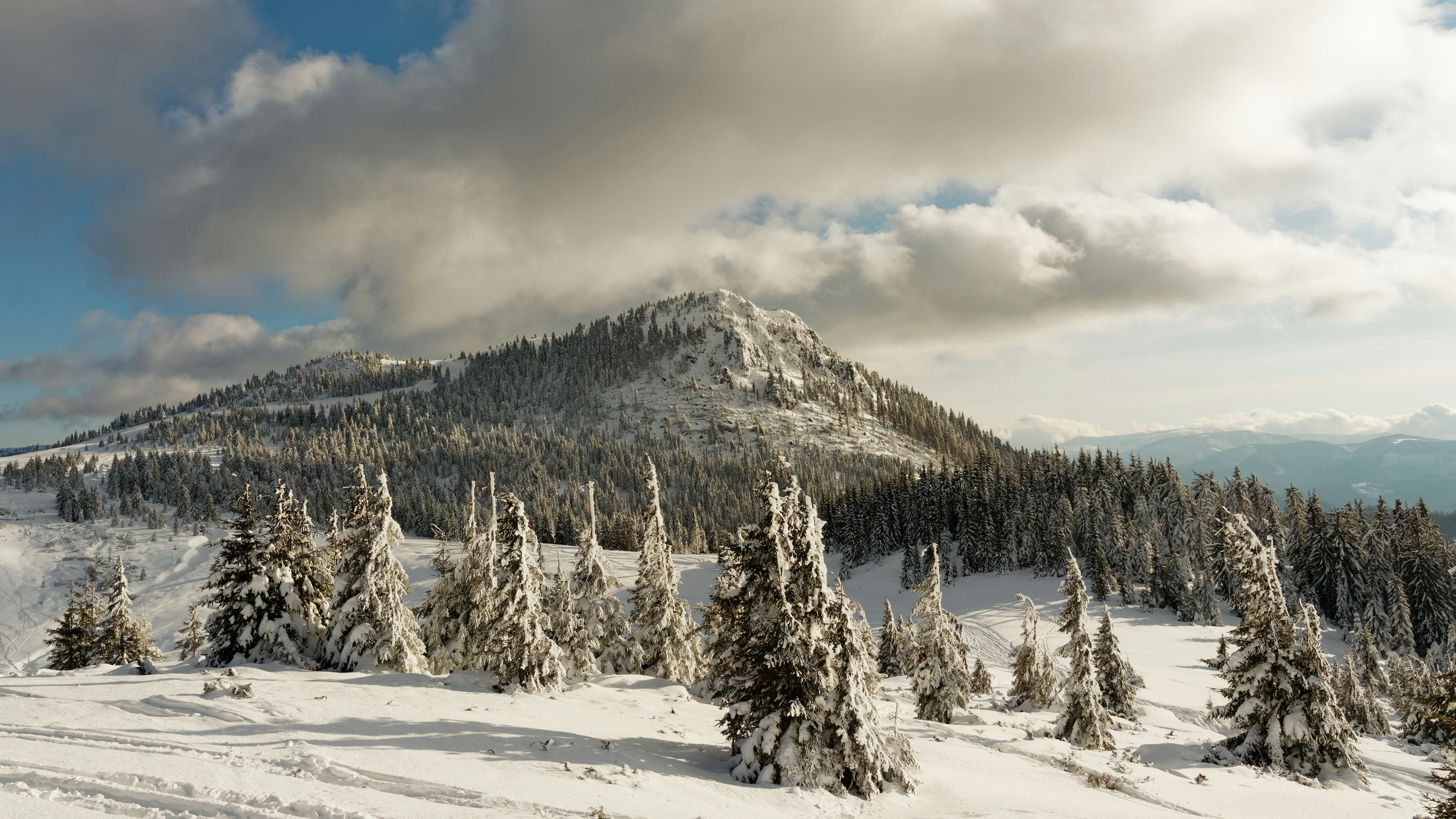 Photo by illes_cristi