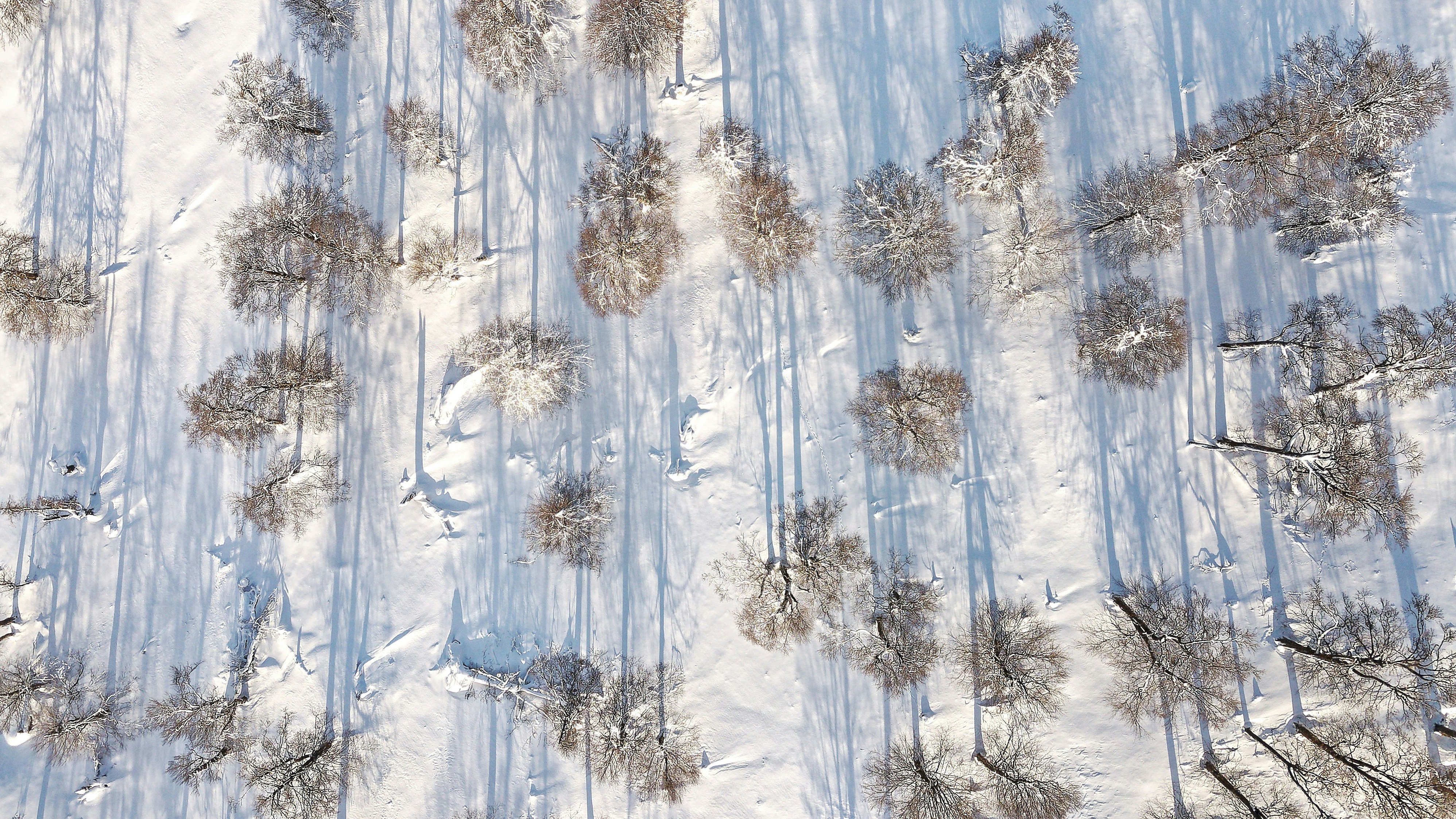 Photo by illes_cristi