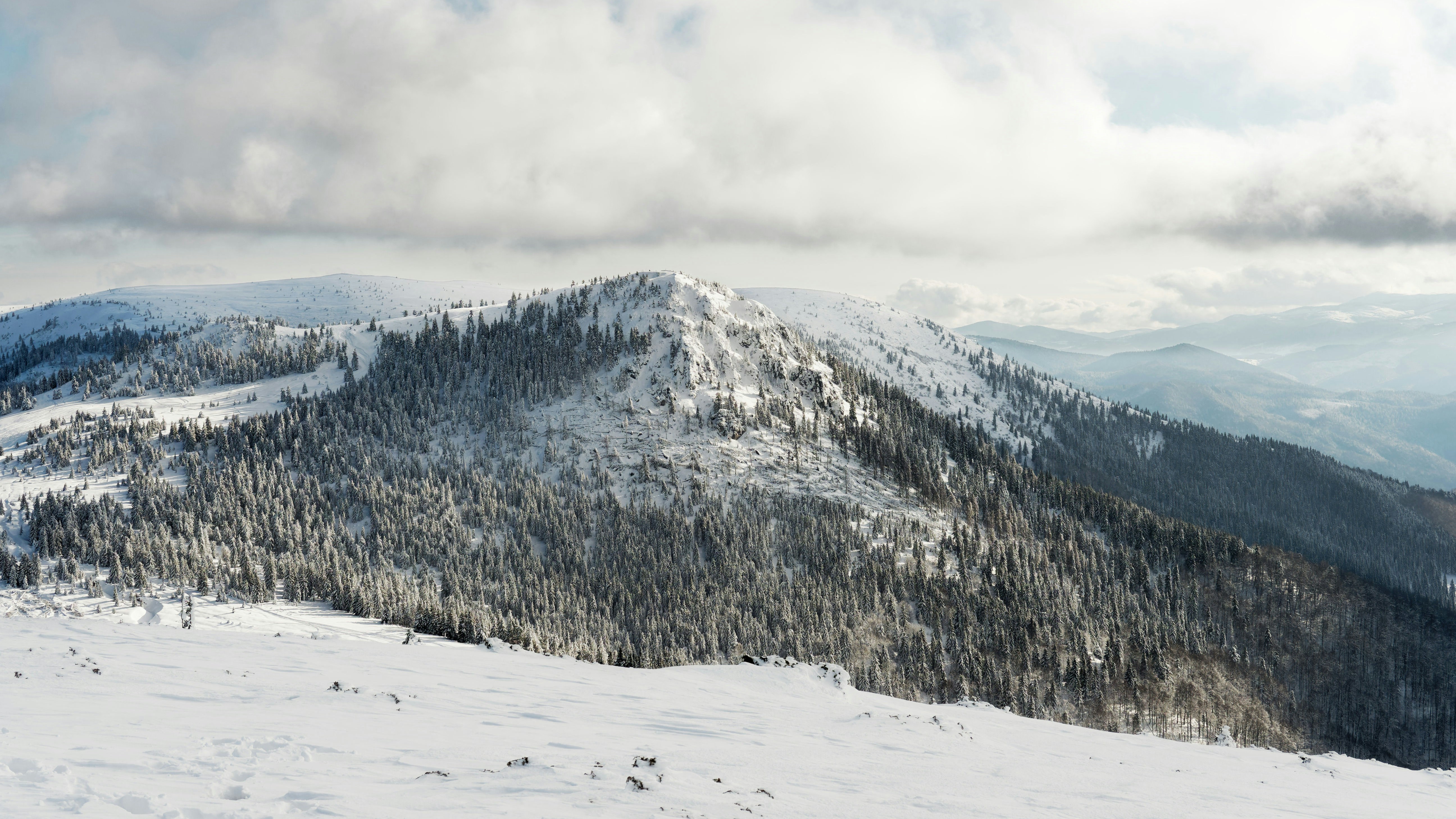 Photo by illes_cristi