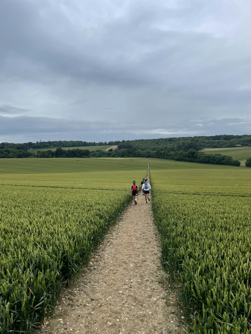 2 people walking on dirt road between green grass field during daytime