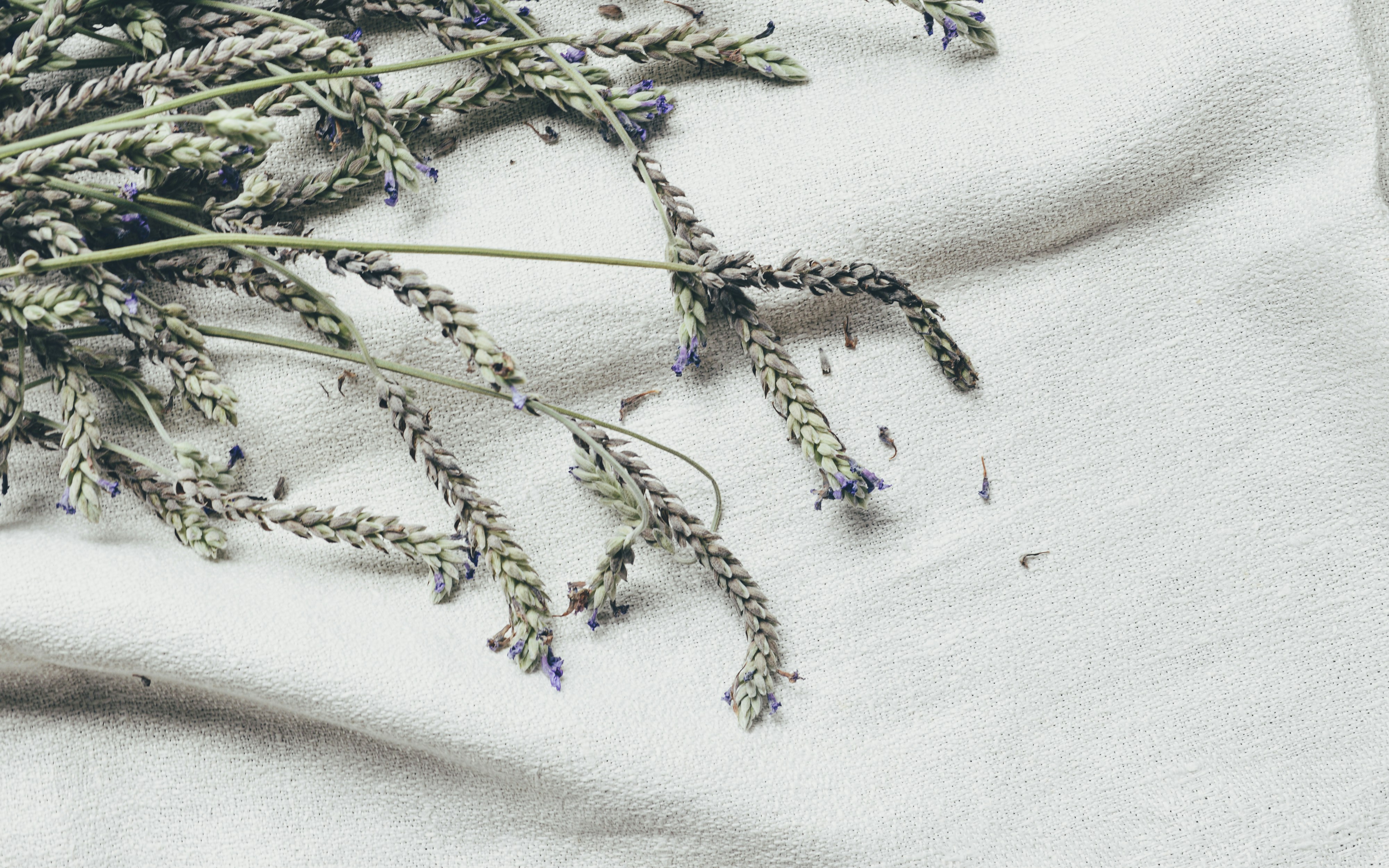 fleurs violettes et vertes sur textile blanc