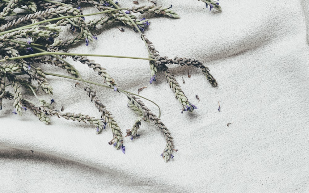 purple and green flowers on white textile