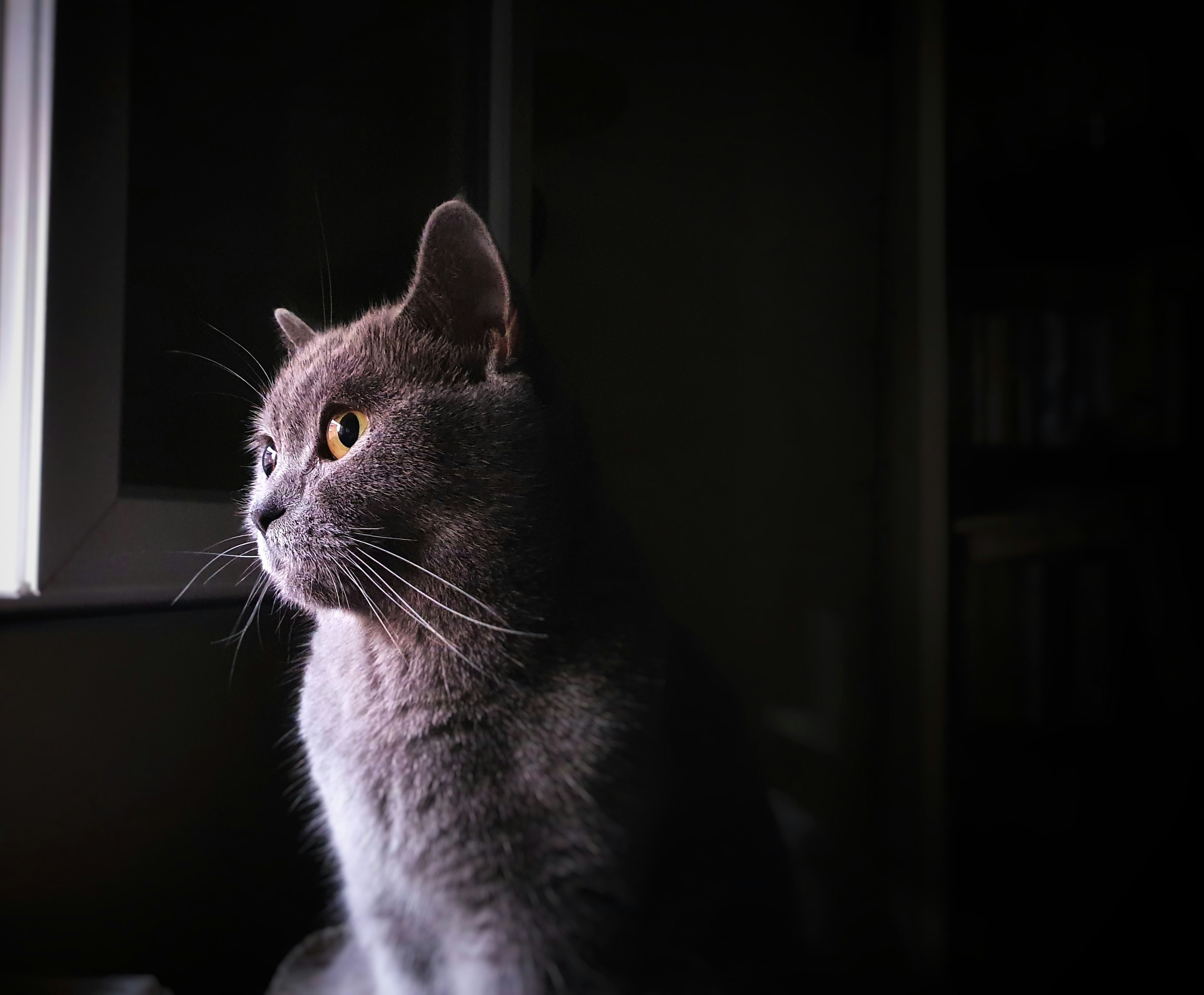 Photo by dim_apostol