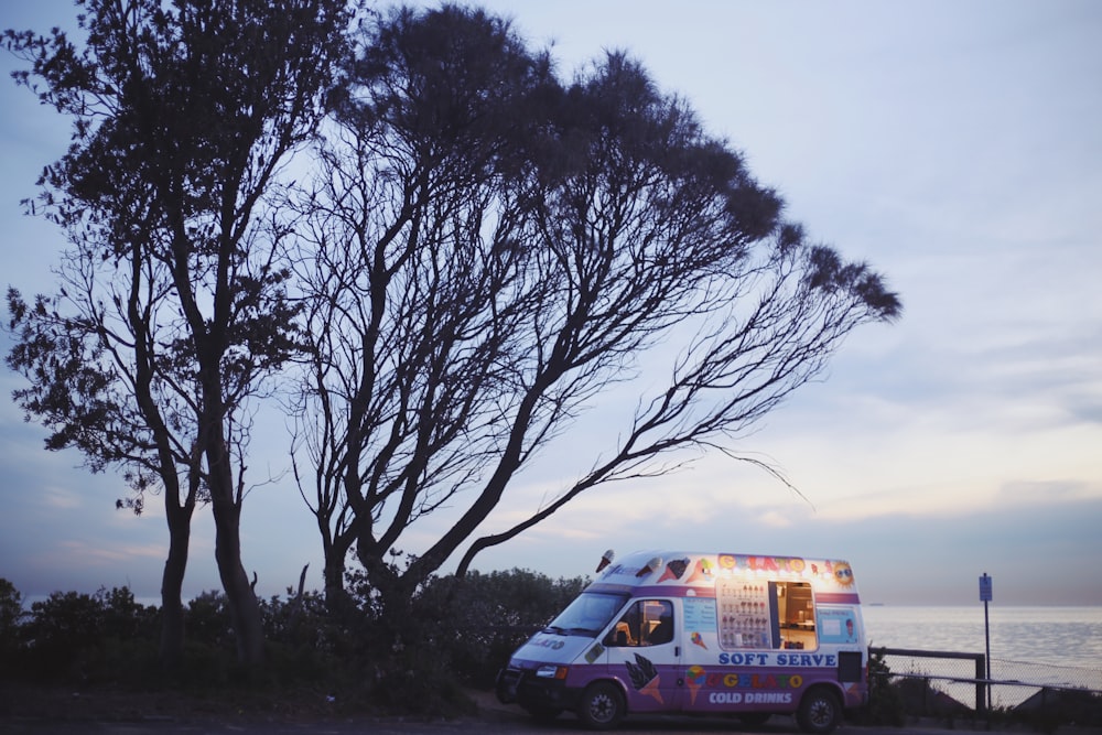 white and red van near bare tree during daytime