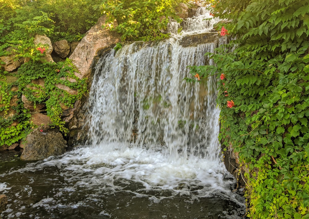 water falls with green plants