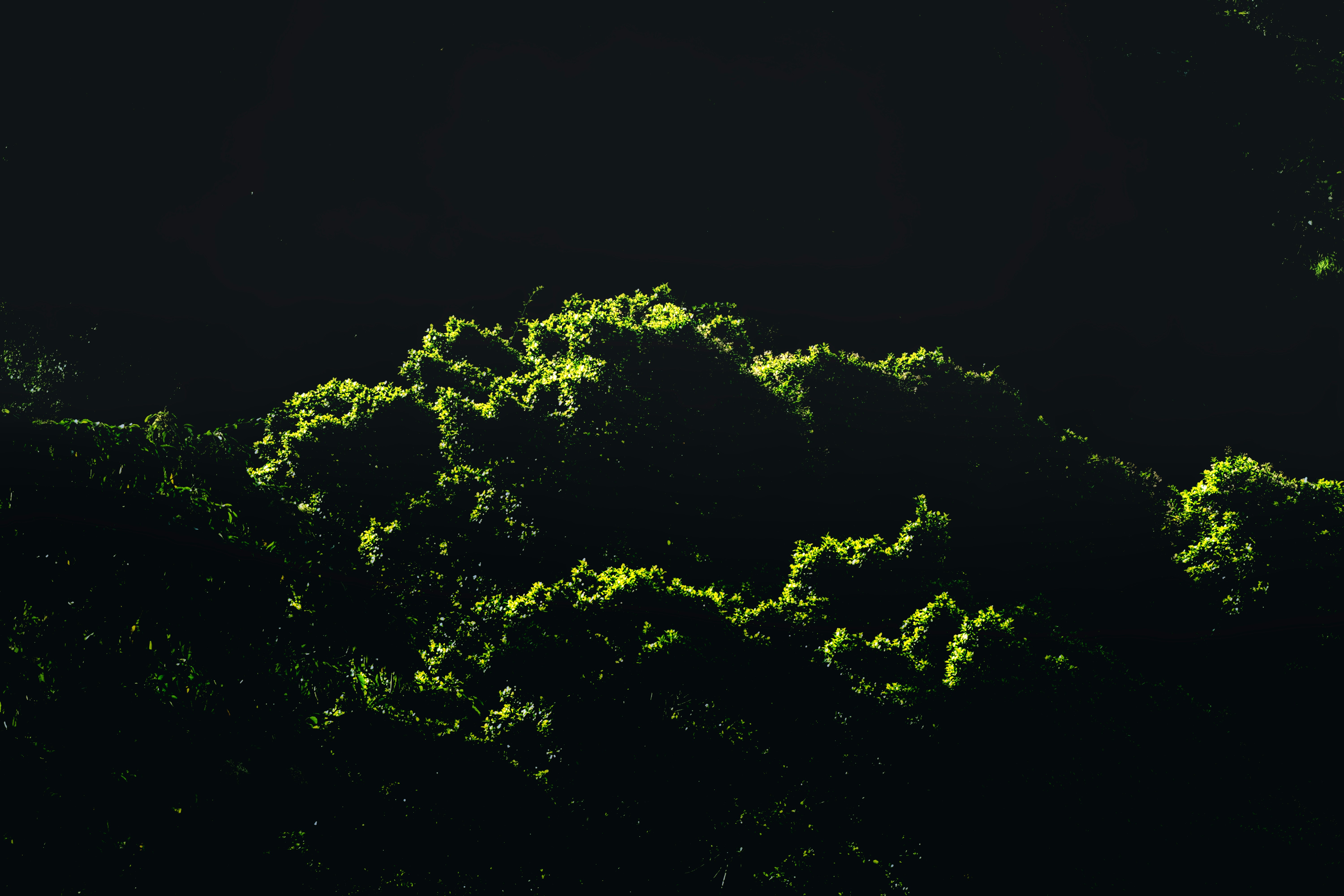 Photo by thomaskinto