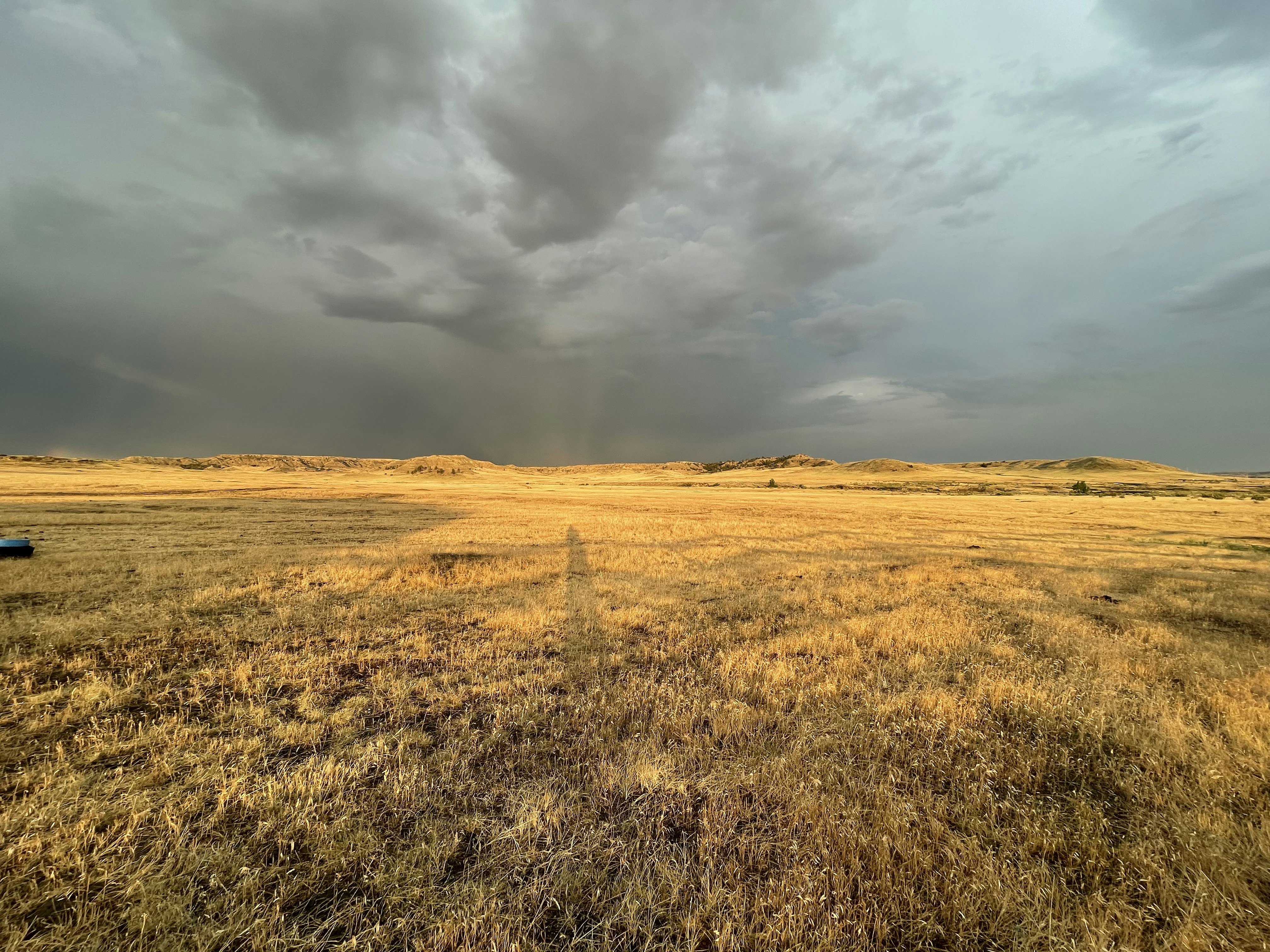 brown grass field under gray clouds