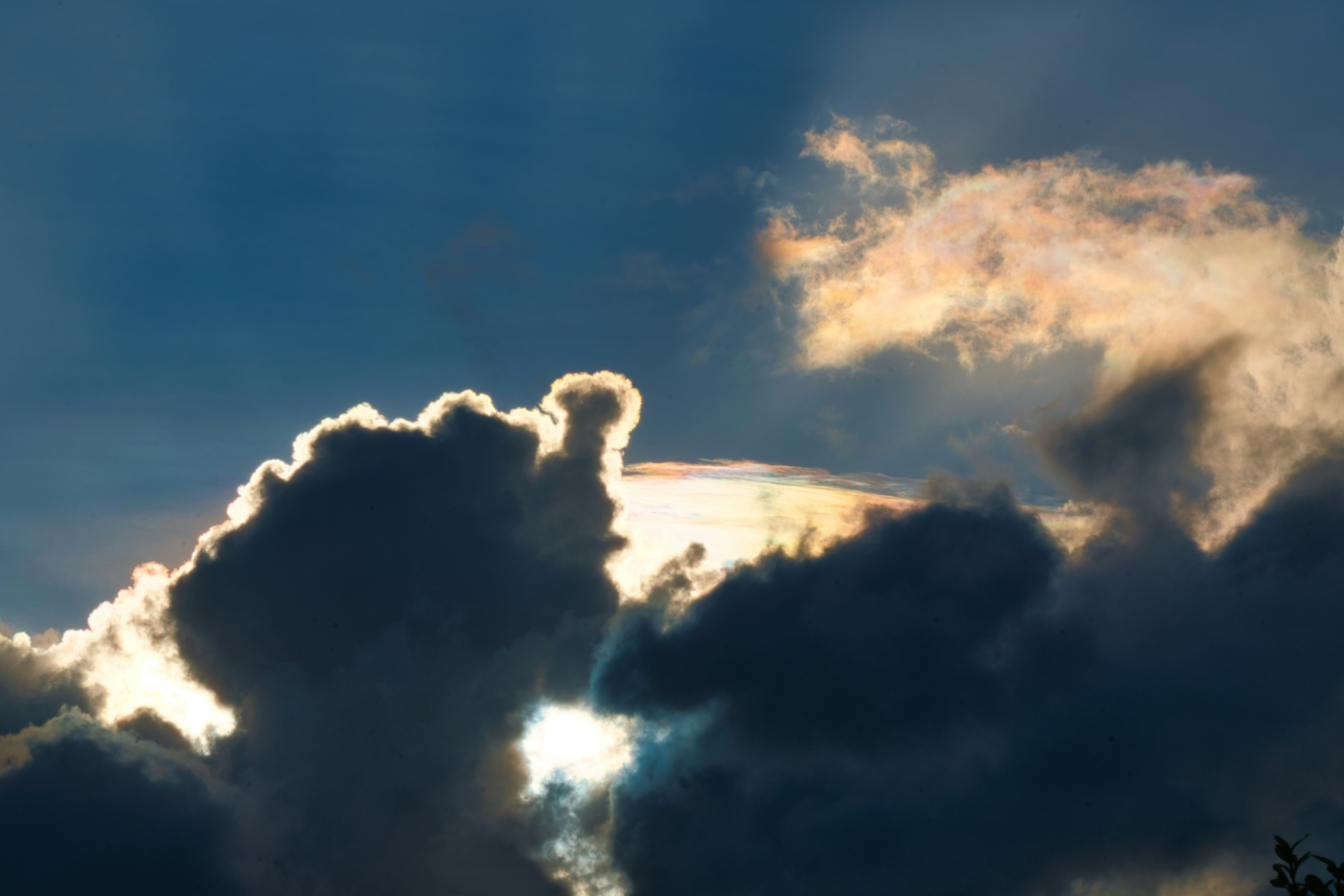 Photo by thomaskinto