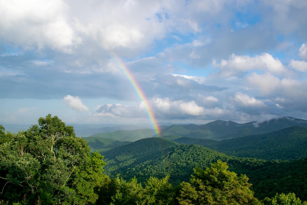 green trees and mountains under white clouds and blue sky during daytime