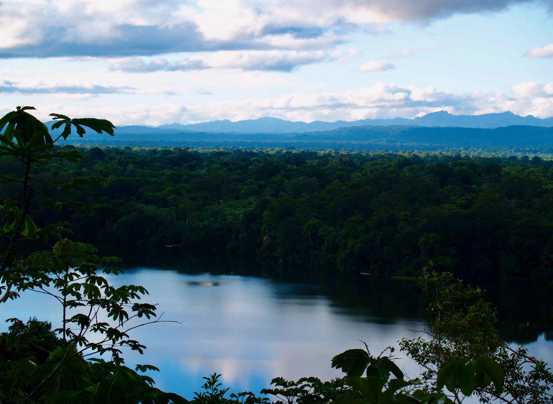 green trees near body of water under white clouds and blue sky during daytime