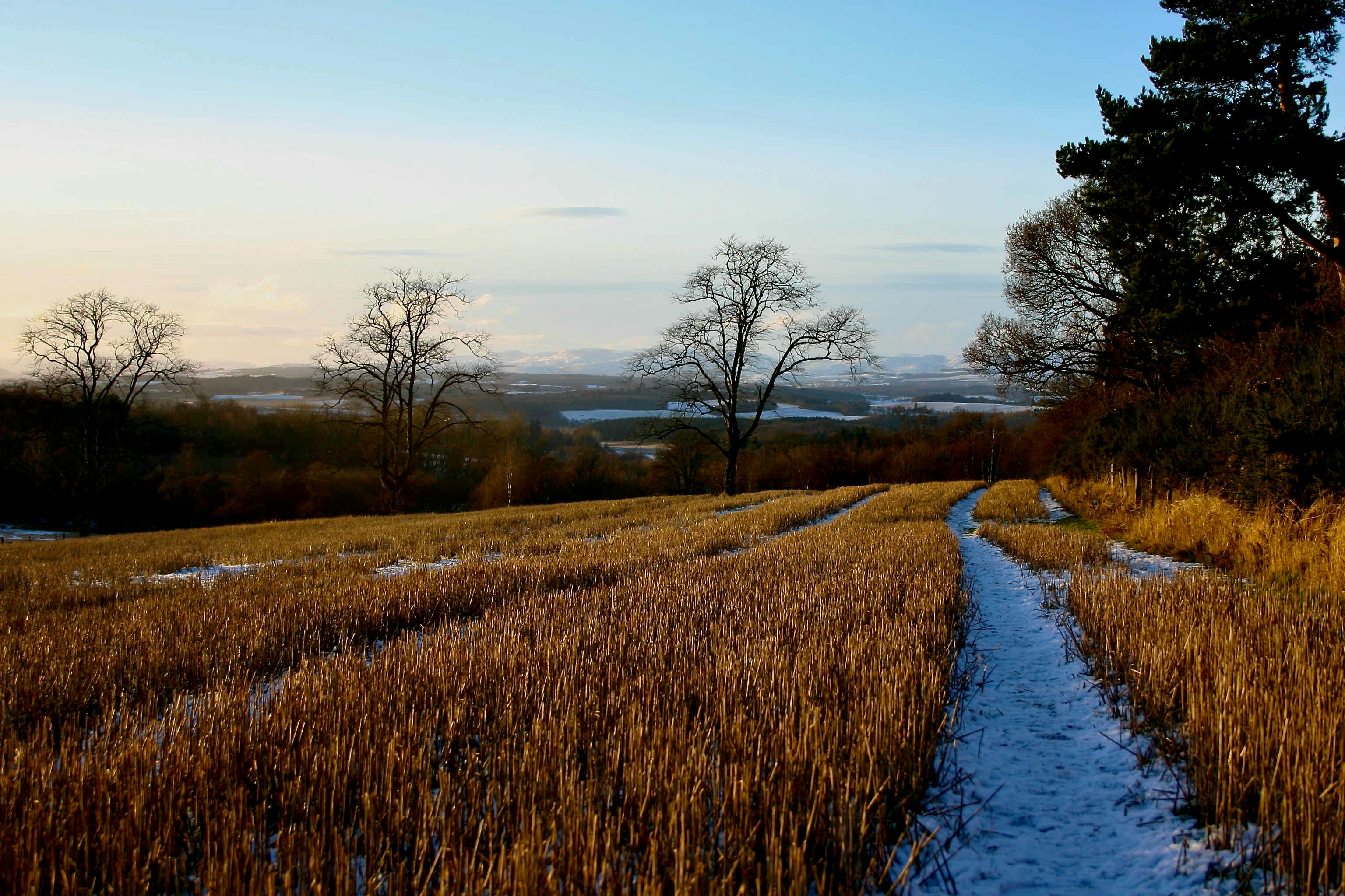 Scottish Potato Scones and British Breakfasts: a Tutorial
