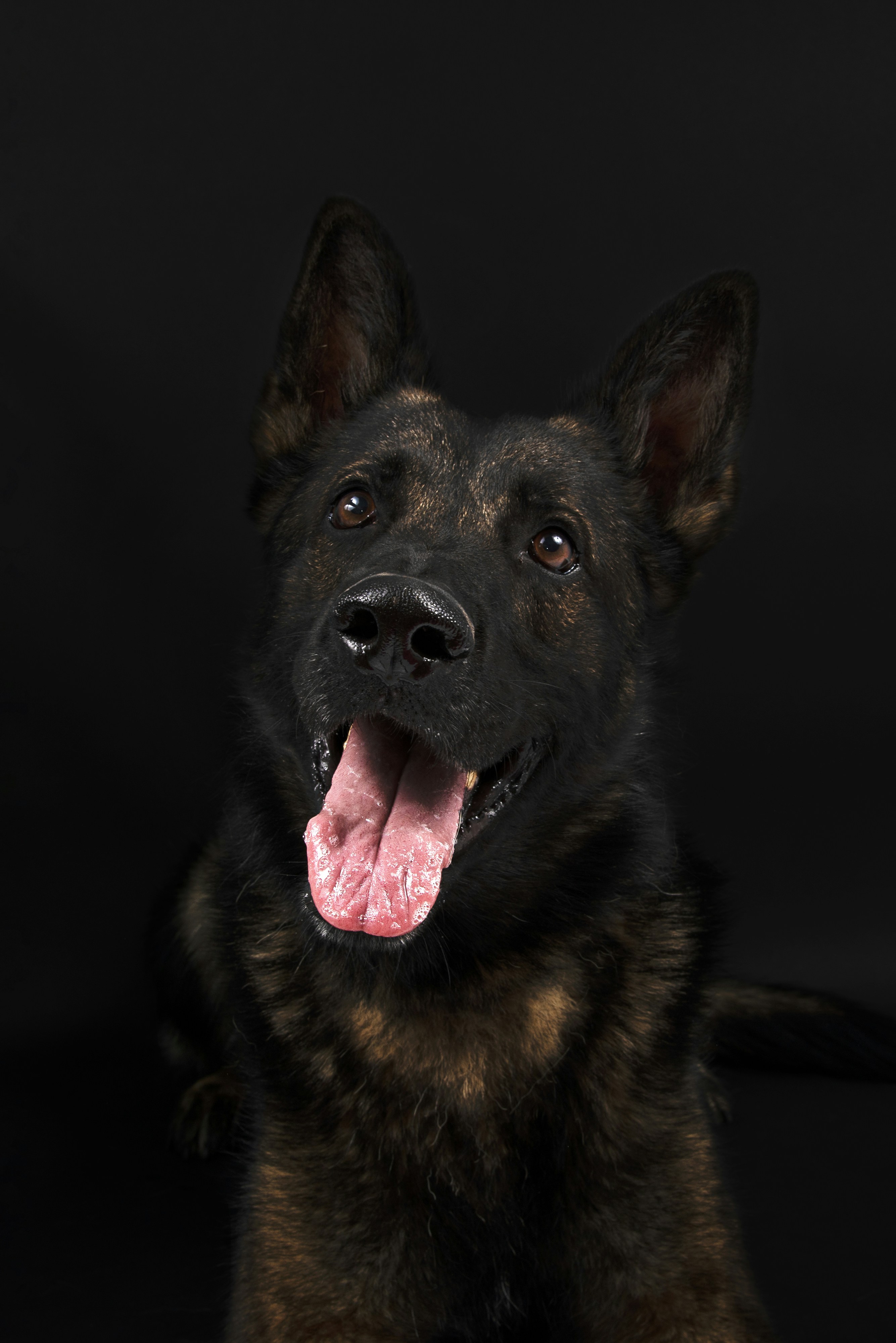 Photo by stephane7muller