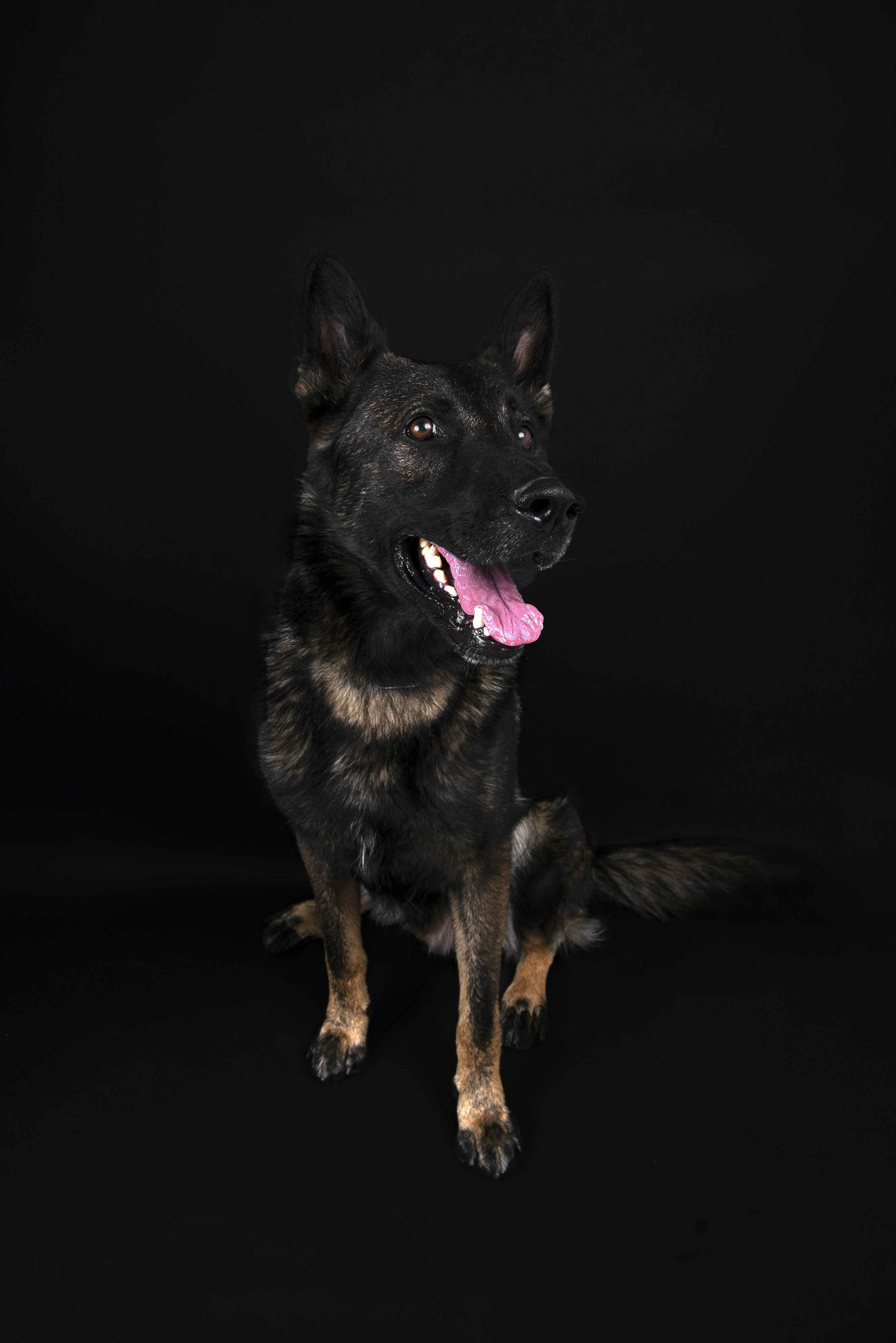 Photo by stephane7muller