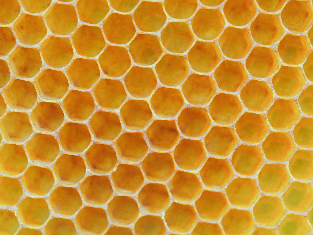 How to Generate a Hex-Grid Map for Your Tabletop Campaign