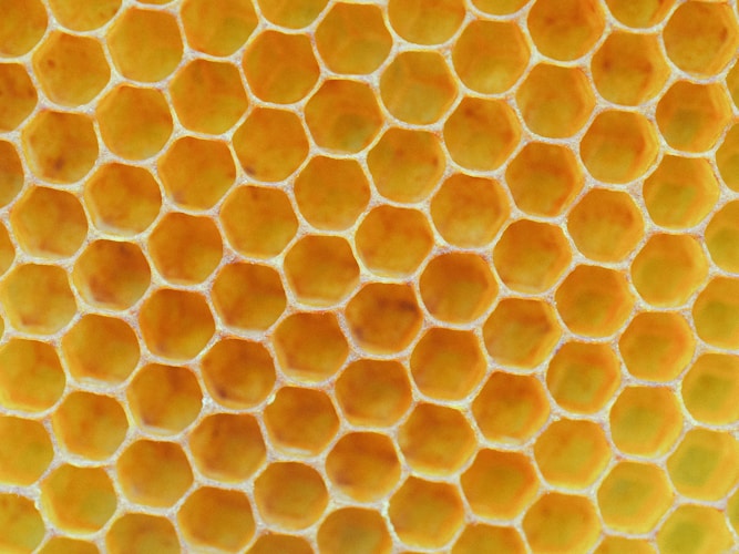 Arquitectura Hexagonal: Ports and Adapters en la práctica