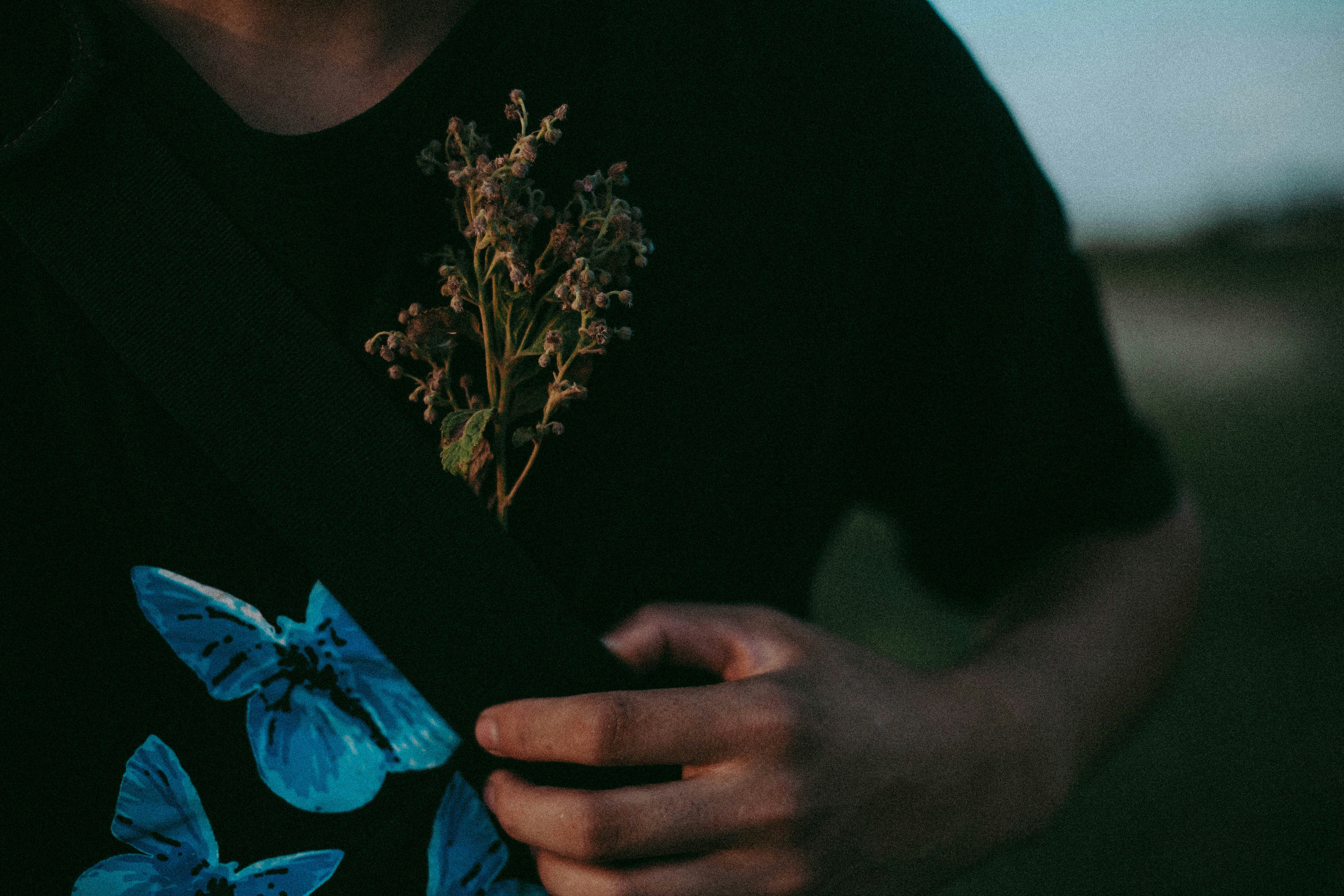 Photo by quynhlmph14759