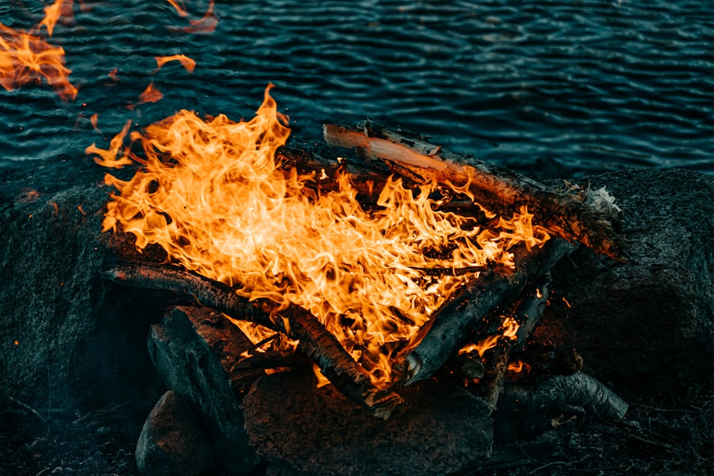 fuoco su tronco di legno marrone