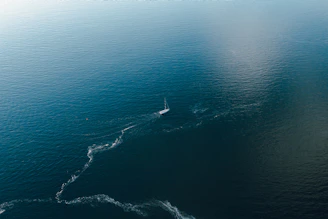 aerial view of body of water during daytime