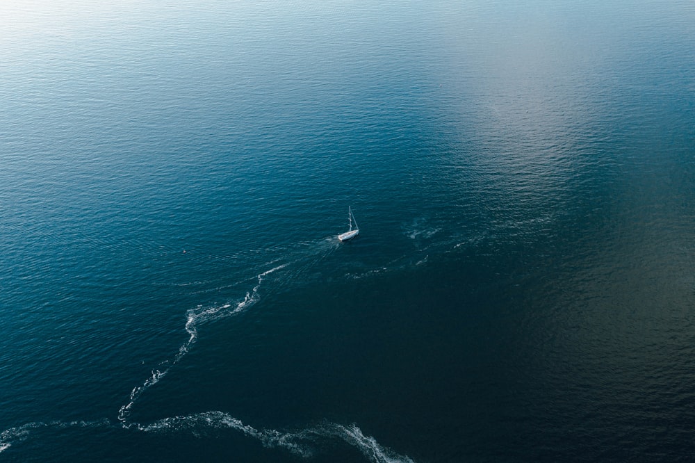 aerial view of body of water during daytime