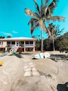 Exterior view of a surf camp house surrounded by palm trees