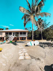 Exterior view of a surf camp house surrounded by palm trees