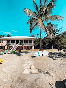 A tropical setting featuring a sandy area leading up to a two-story house. A large palm tree stands prominently in the foreground. The backdrop includes lush greenery, and a bright blue sky. A paddleboard and other beach-related items, such as lounge chairs, are scattered around.