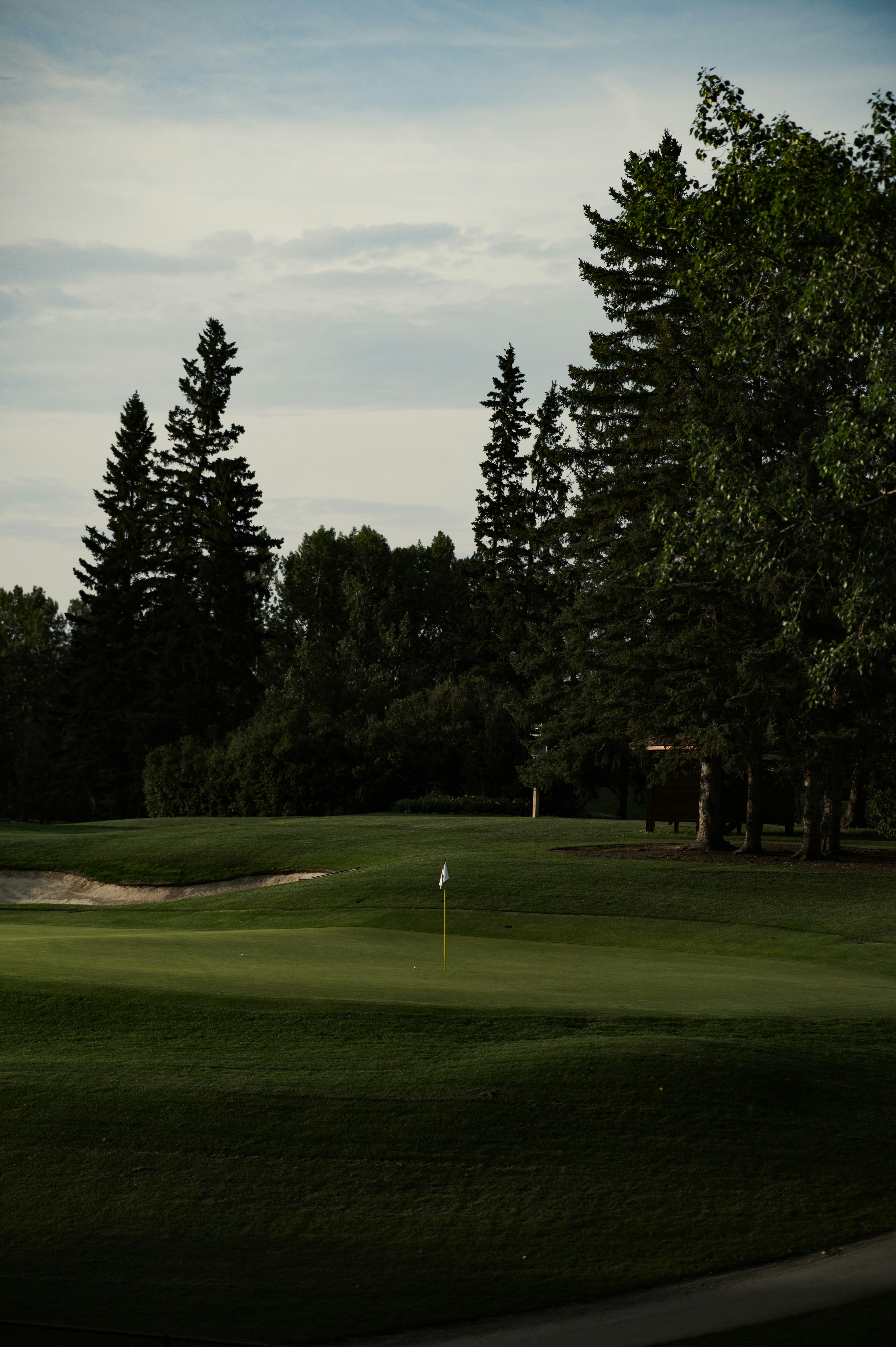 Photo by ryunosuke_kikuno