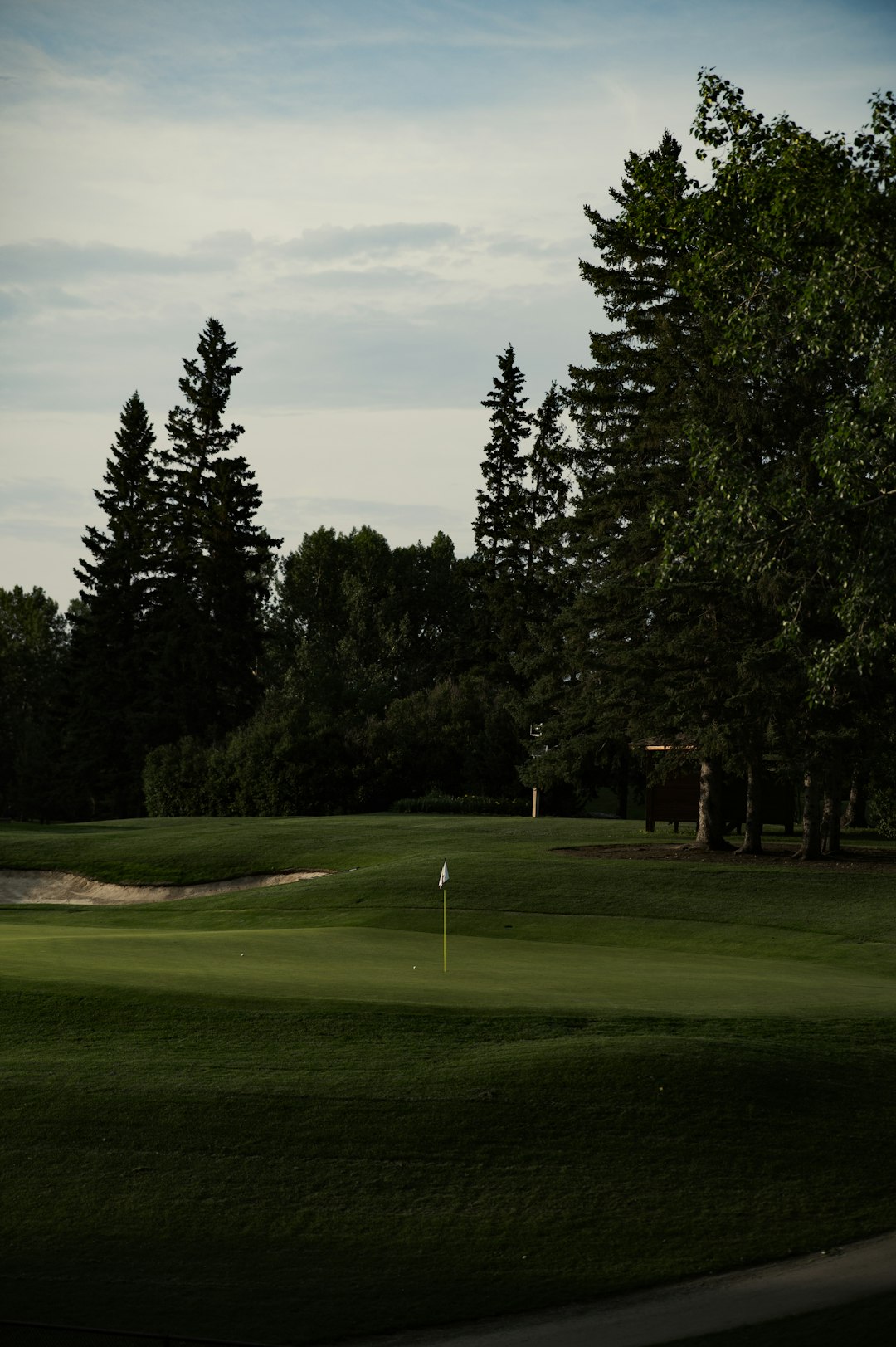 green grass field with trees