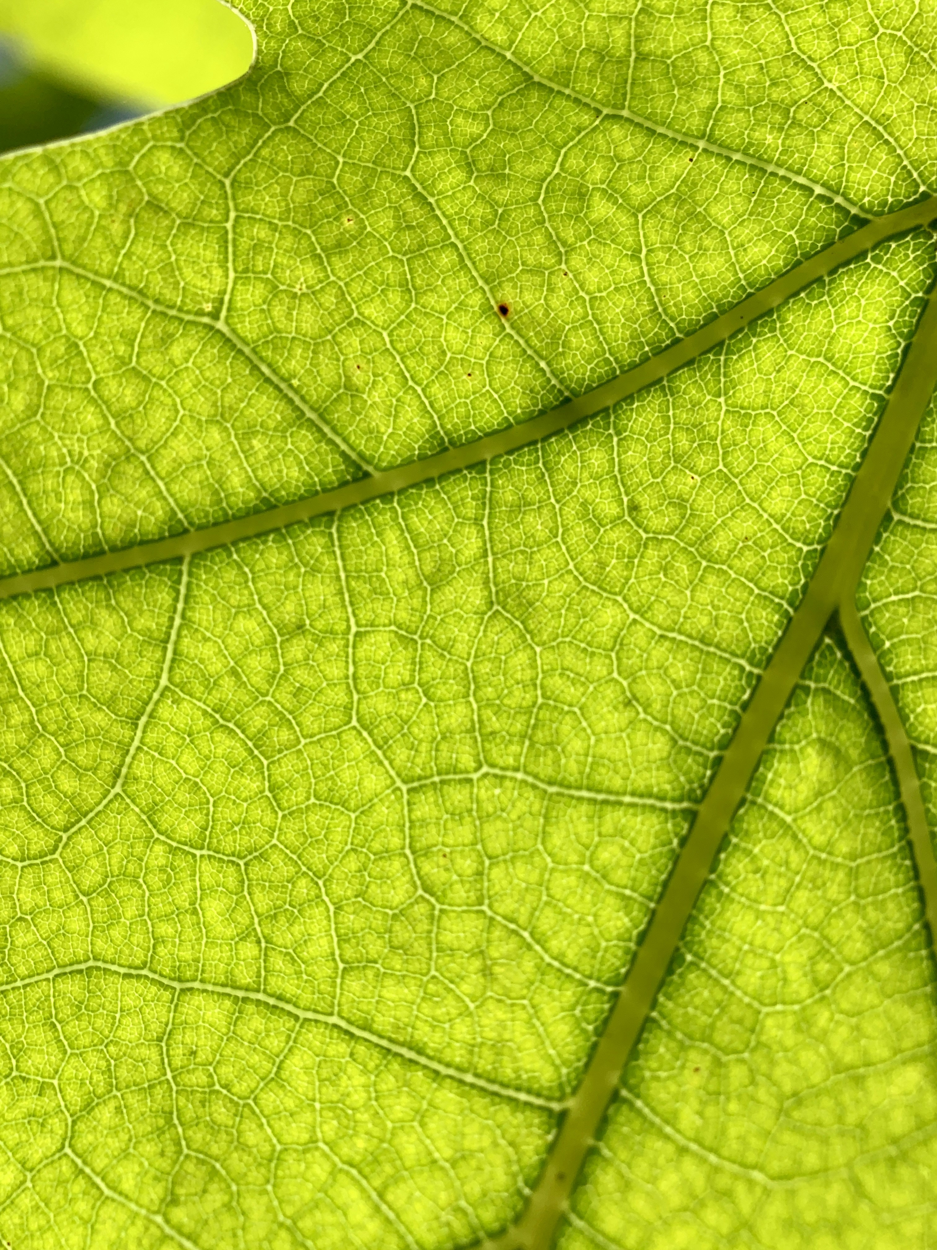 Photo by annie_kramer74