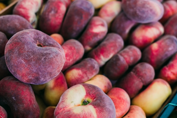 Red and yellow apple fruit