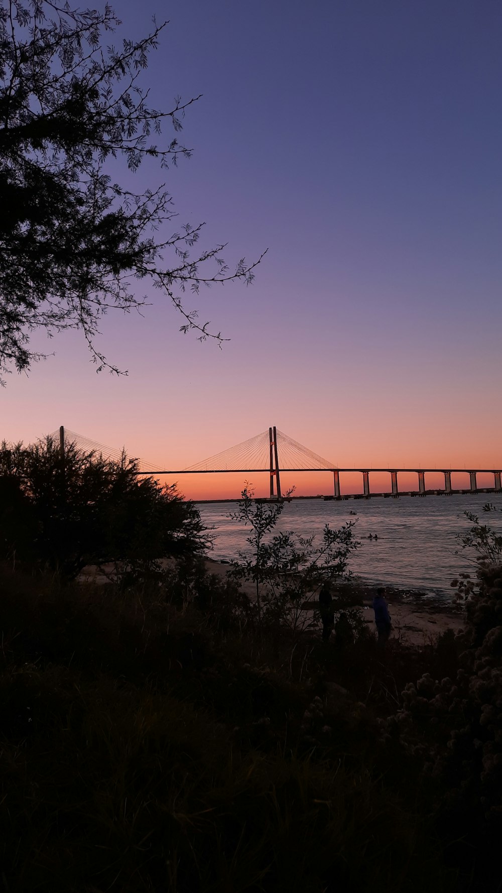 夕暮れ時の海に架かる橋
