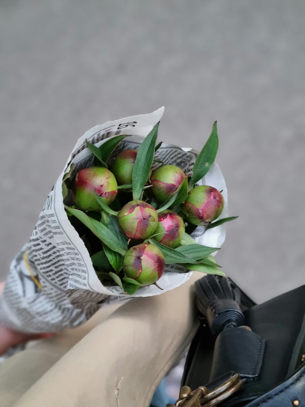 person holding bouquet of green and pink flowers