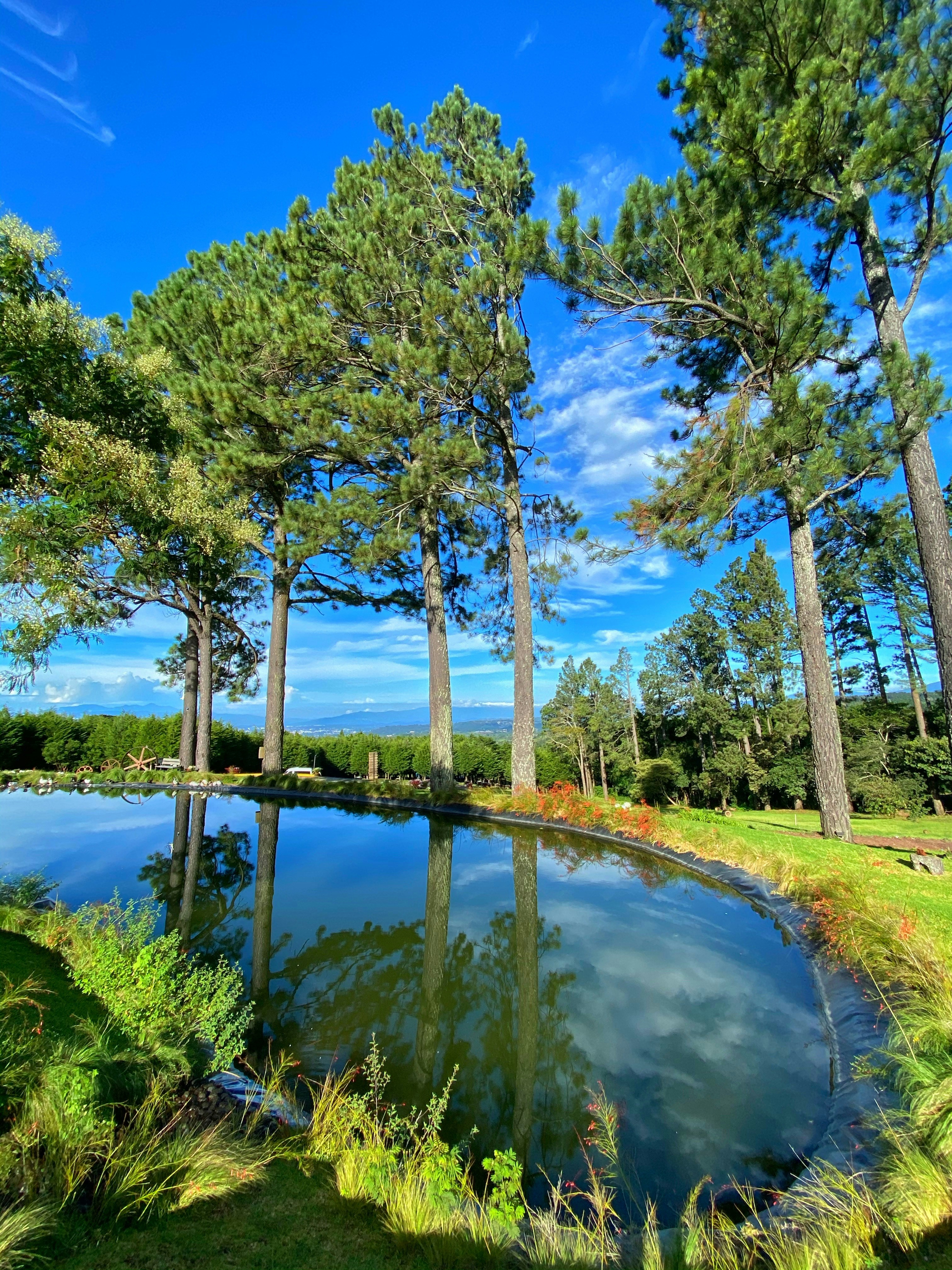 Photo by ozzsocialweb