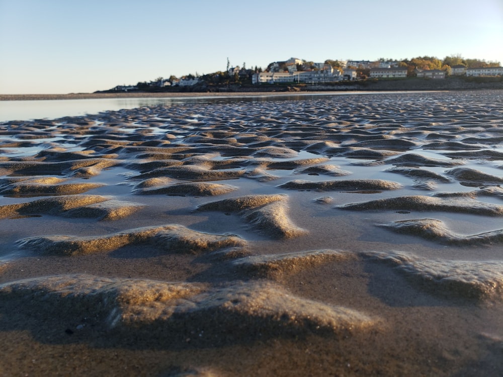 brown sand near body of water during daytime