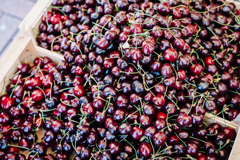 red round fruits in white plastic container