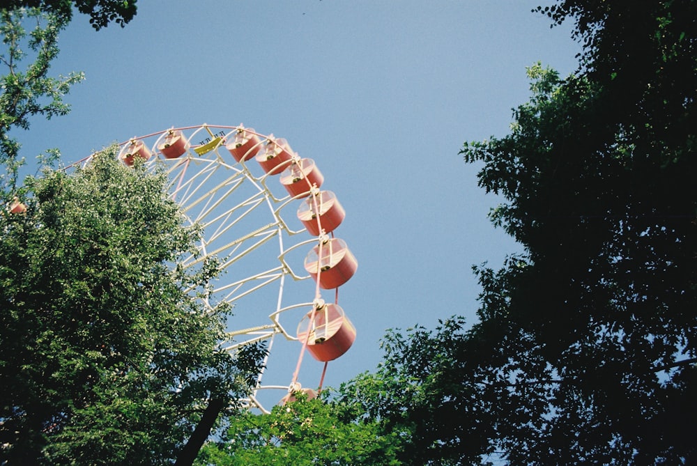 white and brown ferris wheel under blue sky during daytime