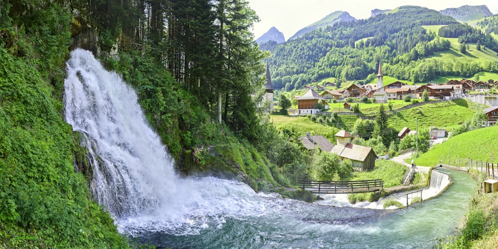 green trees near body of water during daytime