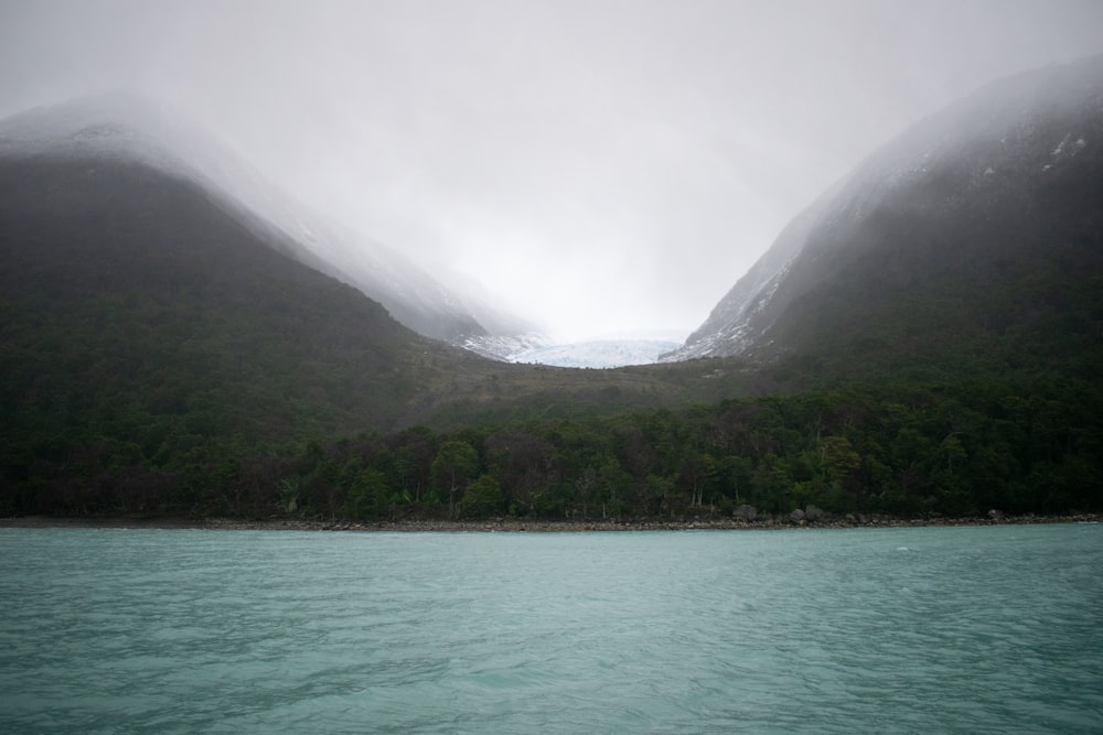 green trees near body of water during daytime