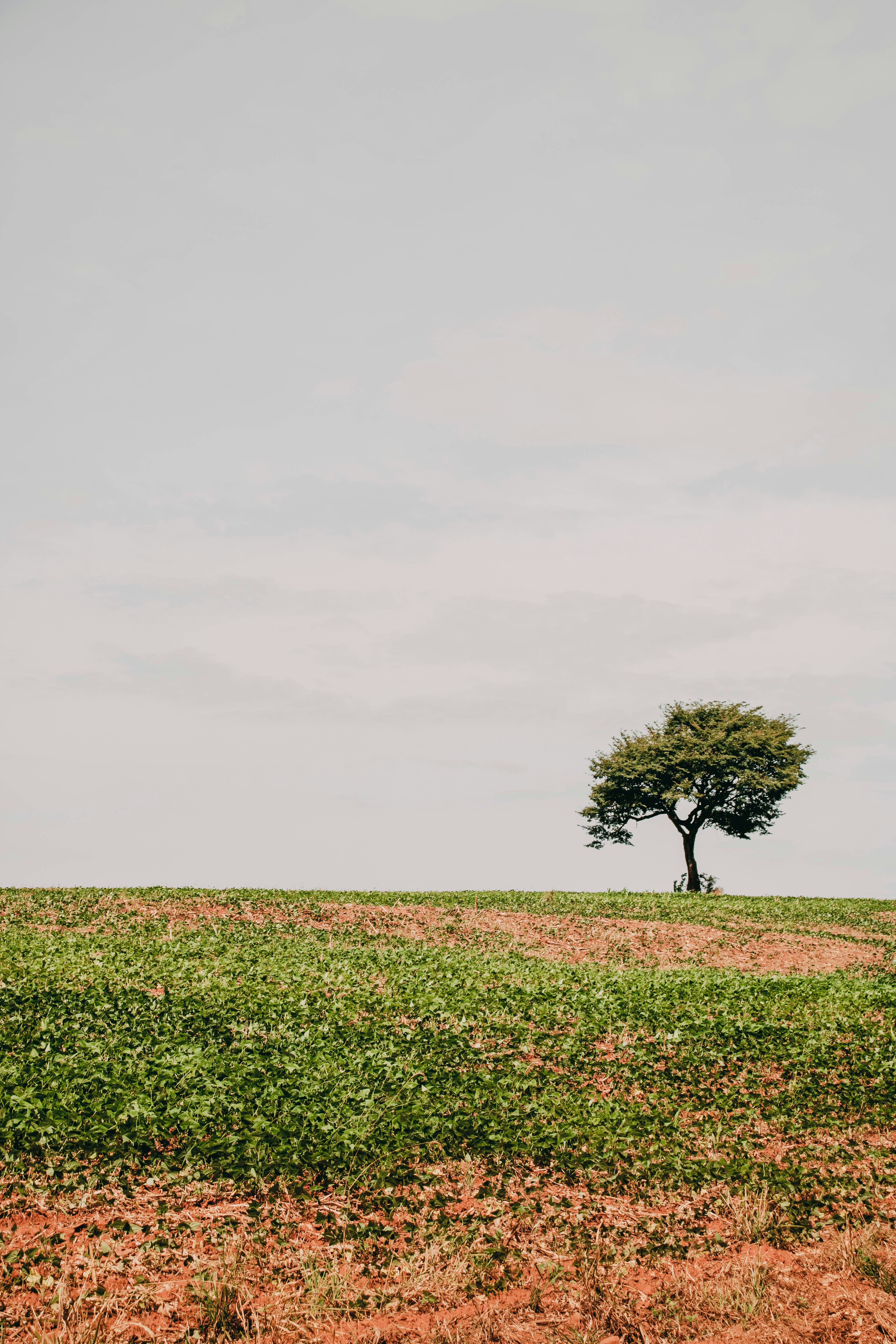 Photo by leozmartins