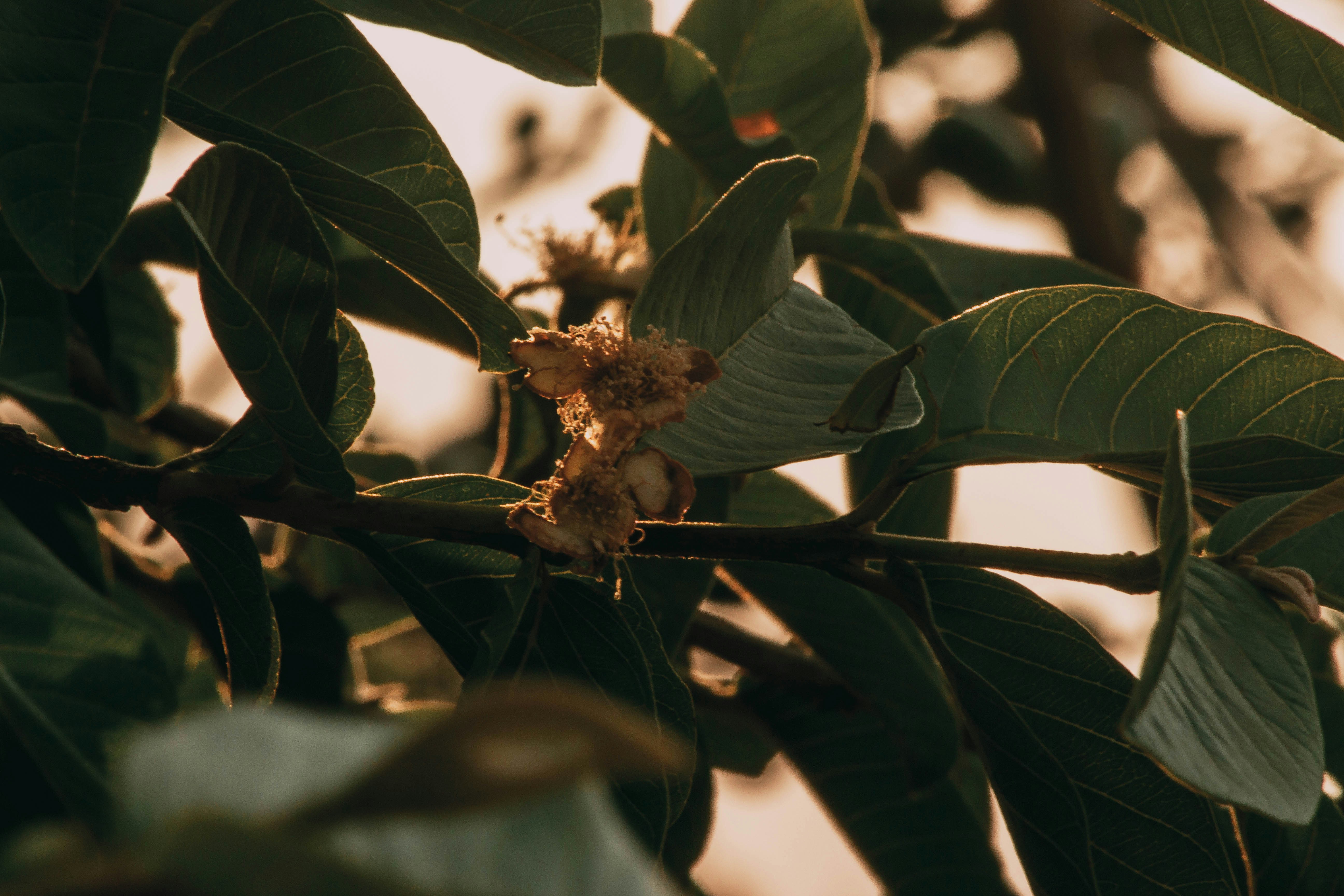 Photo by leozmartins