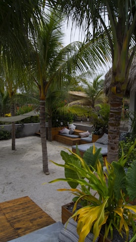 A serene outdoor seating area featuring bamboo furniture surrounded by tropical plants.