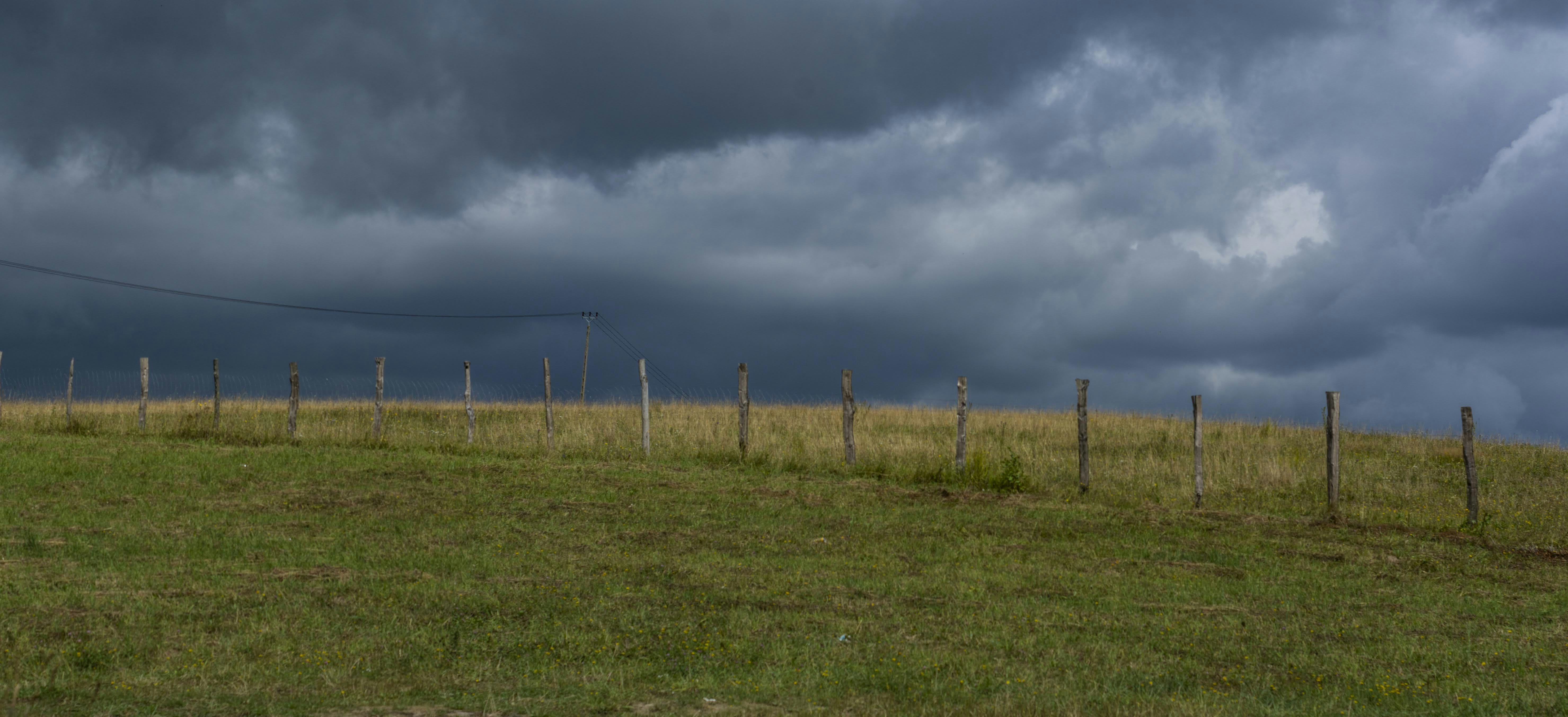 Photo by maxrichter