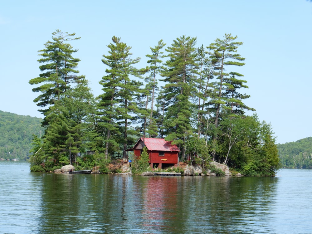 brown wooden house near green trees and river during daytime