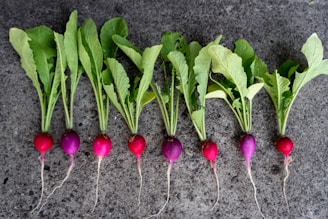 Delicate radish microgreens with purple stems arranged neatly on a rustic wooden table