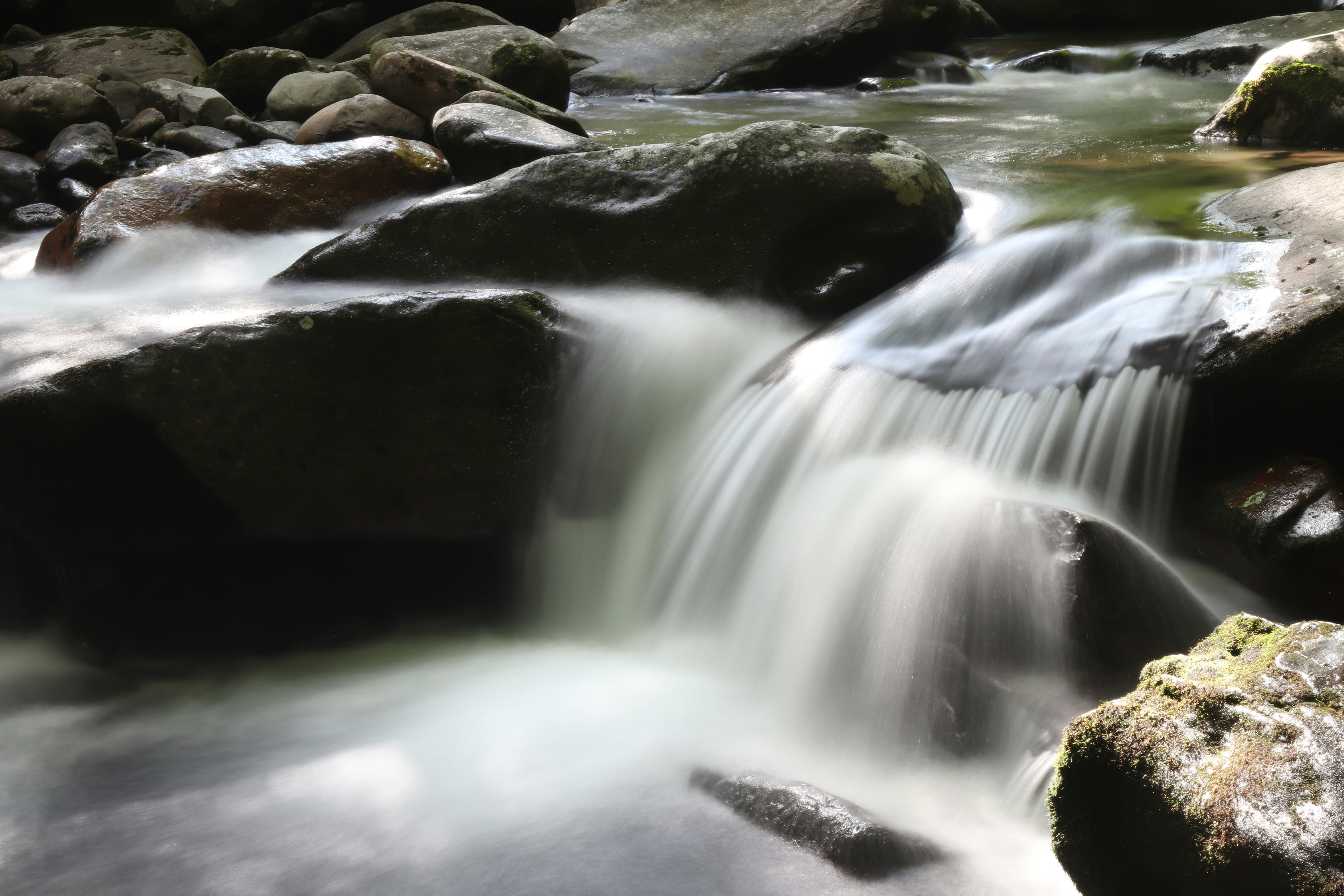 Photo by cameron_elder