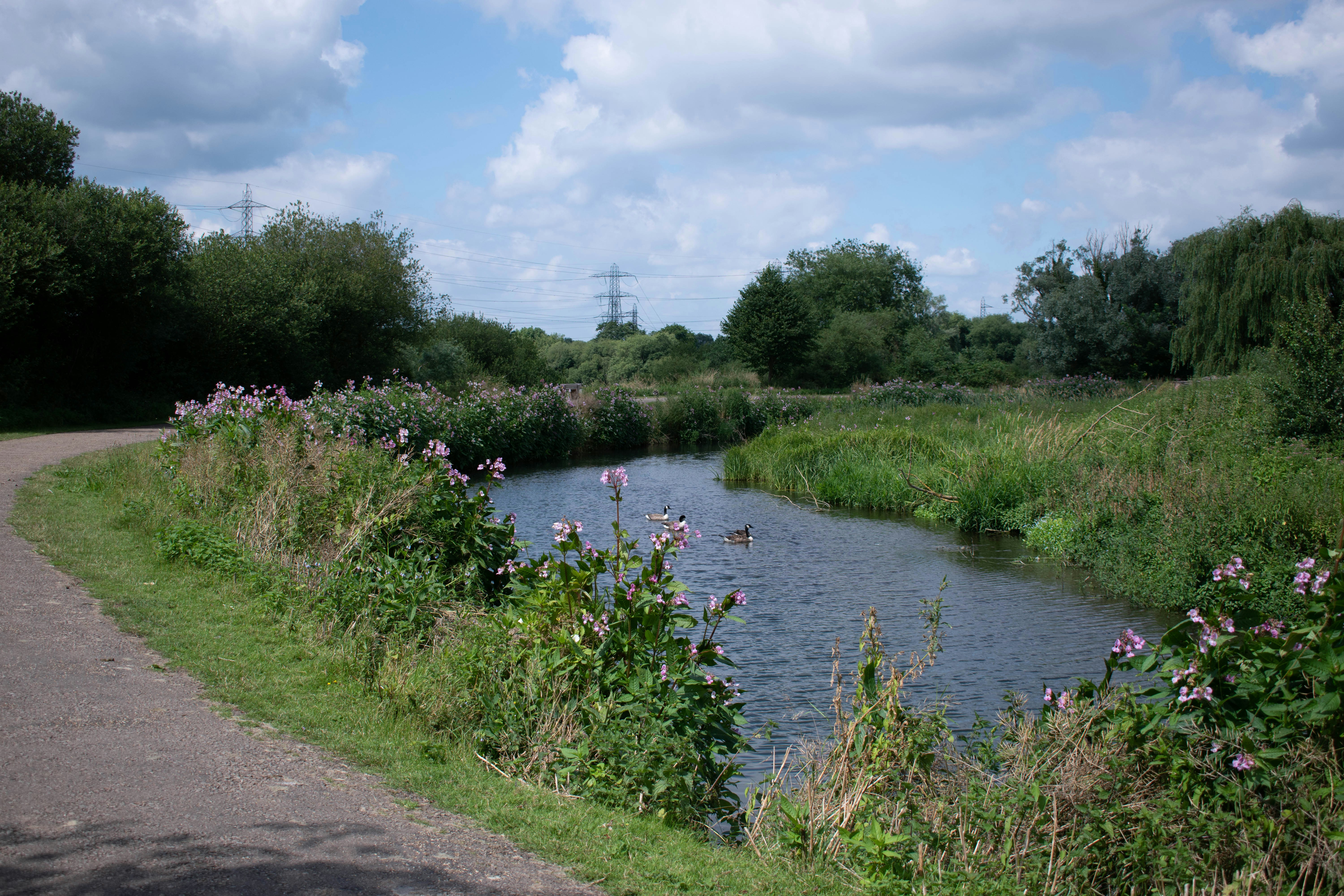 Photo by infinitecreations21