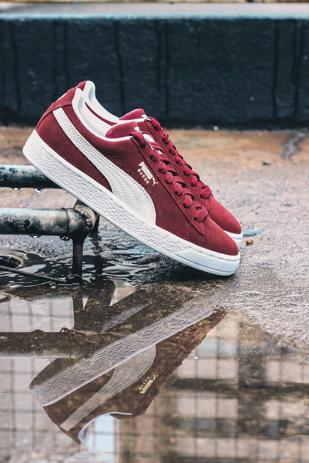 Puma Sneakers Pictures | Download Free Images on Unsplash
